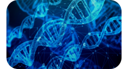 基因編輯技術(shù)平臺(tái)